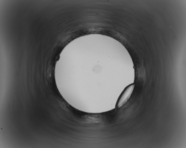 X0000084600567200703231929