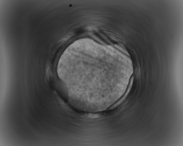 X0000084600570200703231929