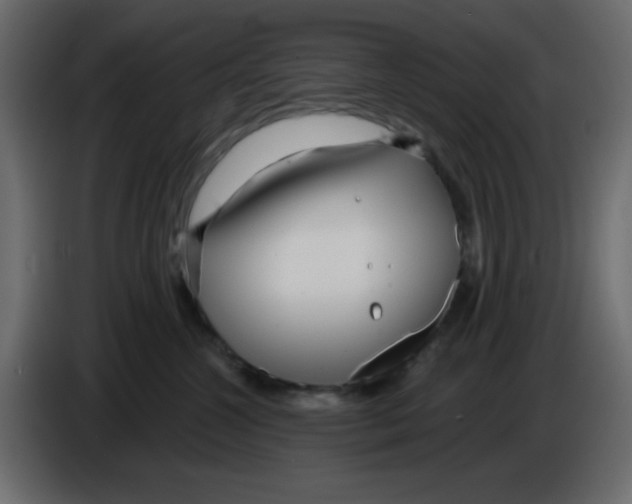 X0000084600572200703231929