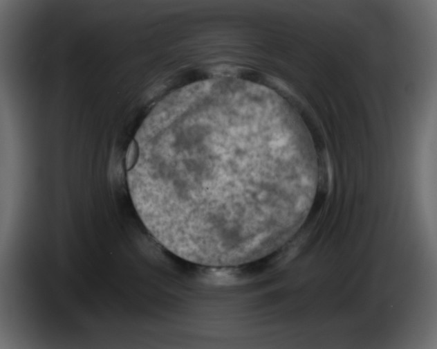 X0000084600573200703231929