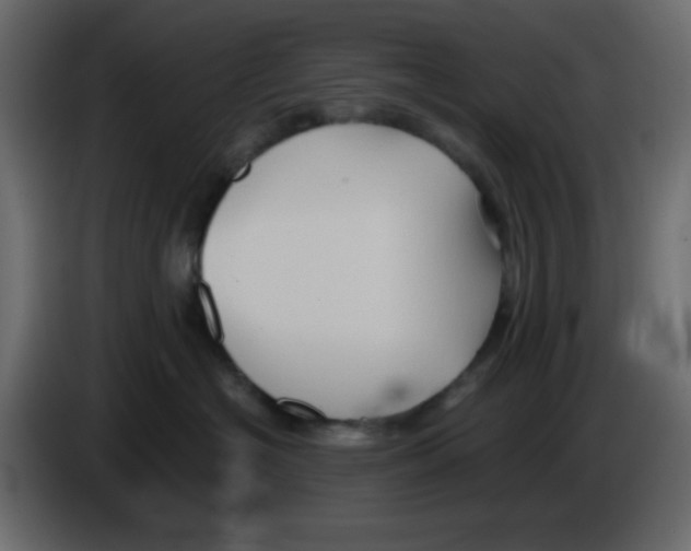 X0000084600574200703231929