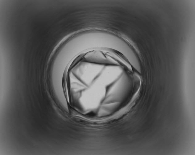 X0000084600580200703231929