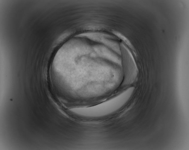 X0000084600581200703231929