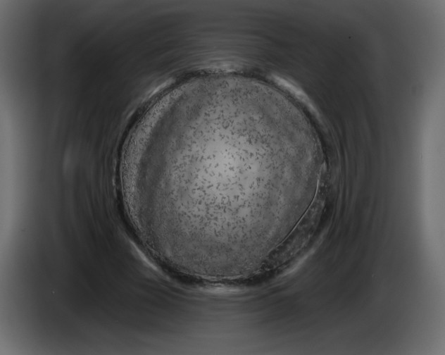 X0000084600585200703231928