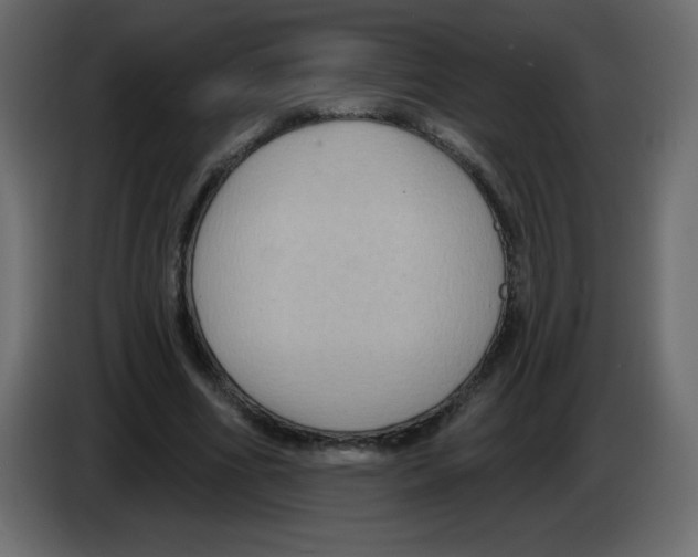 X0000084600586200703231928