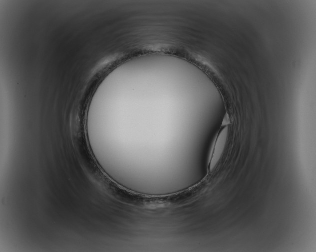 X0000084600587200703231928