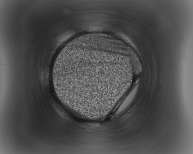 X0000084600588200703231928