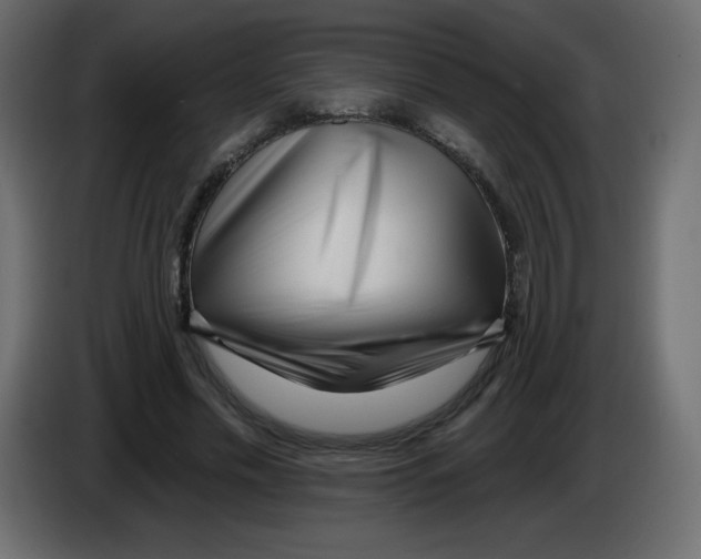 X0000084600589200703231928