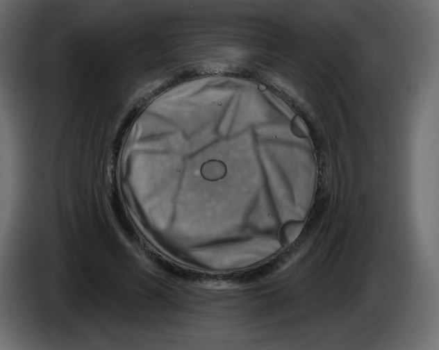 X0000084600590200703231928