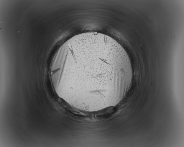 X0000084600591200703231928