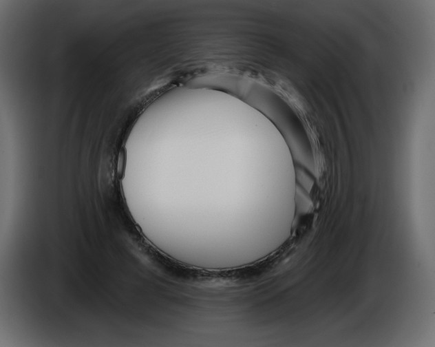 X0000084600593200703231928