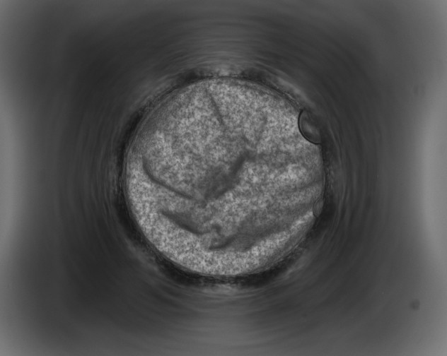 X0000084600594200703231928