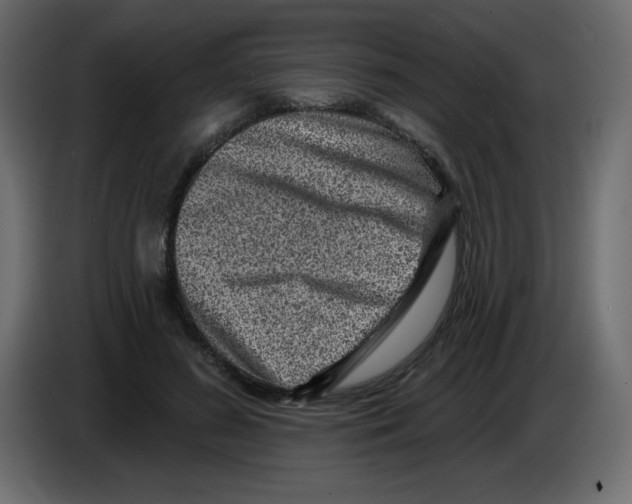 X0000084600596200703231928