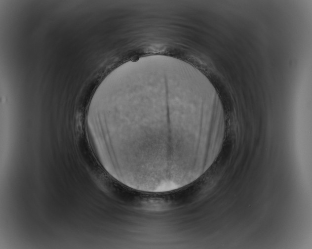 X0000084600598200703231928