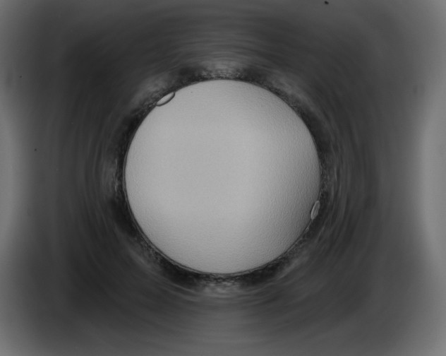 X0000084600599200703231928