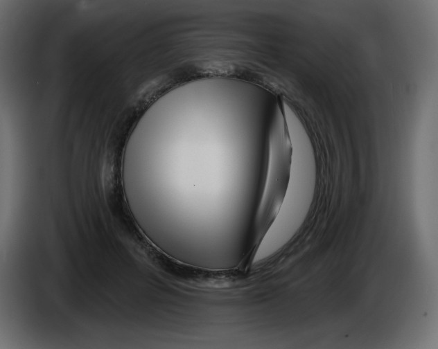 X0000084600600200703231928