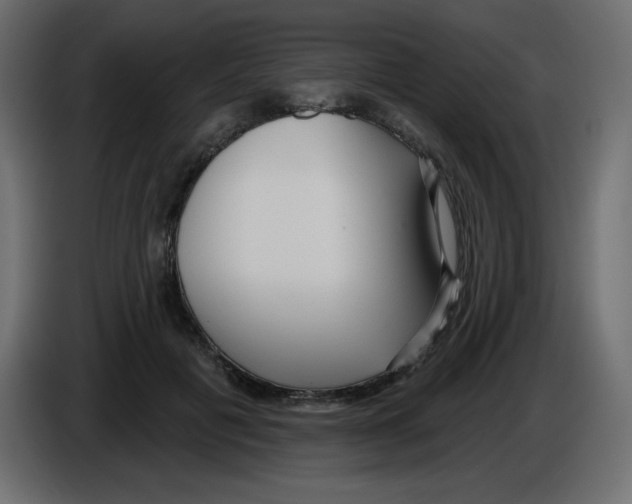 X0000084600601200703231928