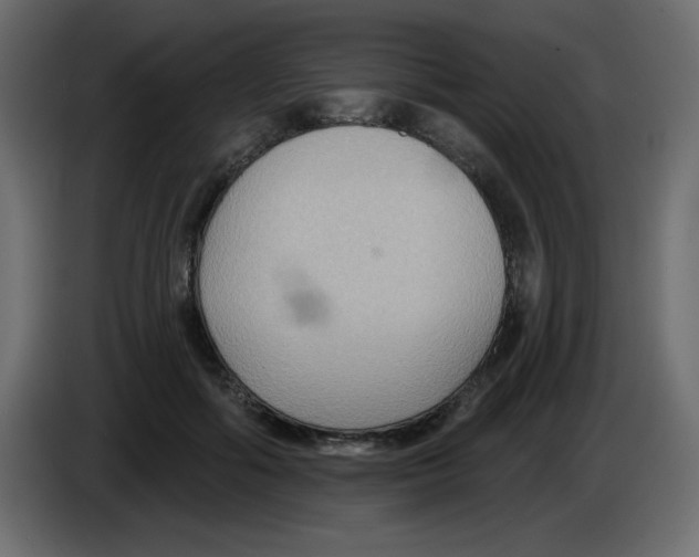 X0000084600602200703231928