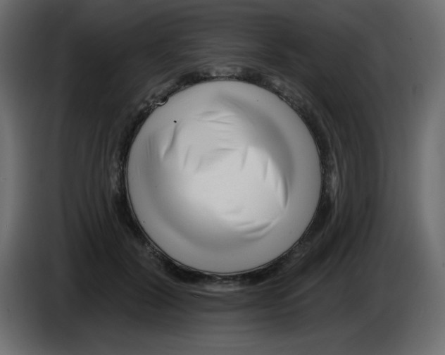 X0000084600604200703231928