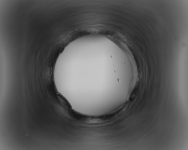 X0000084600605200703231928