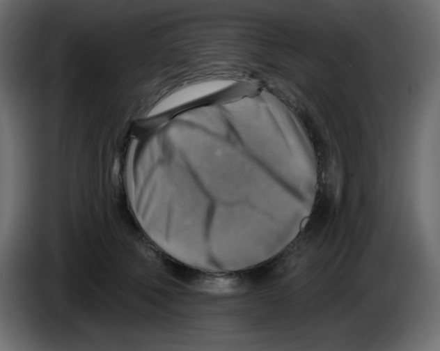 X0000084600610200703231928