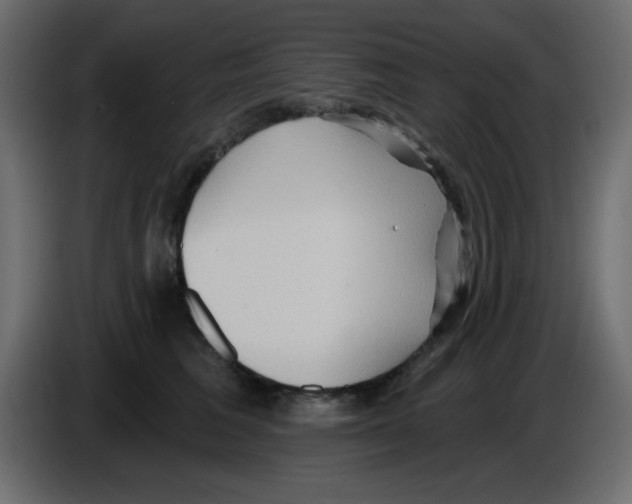 X0000084600613200703231928