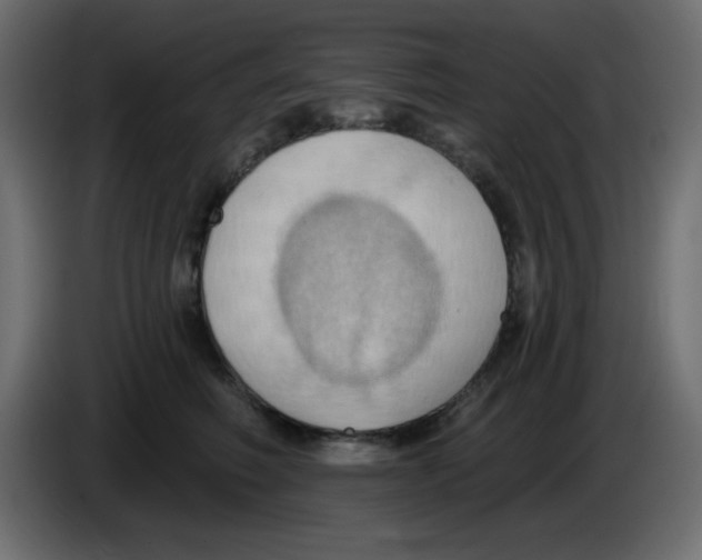 X0000084600614200703231928