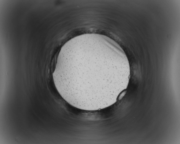 X0000084600615200703231928