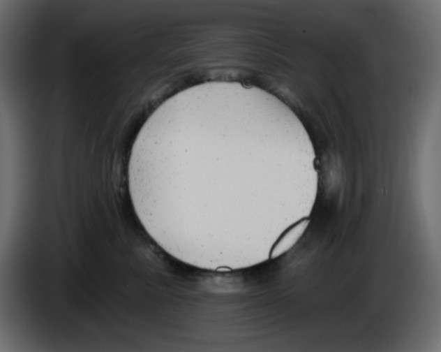 X0000084600619200703231928