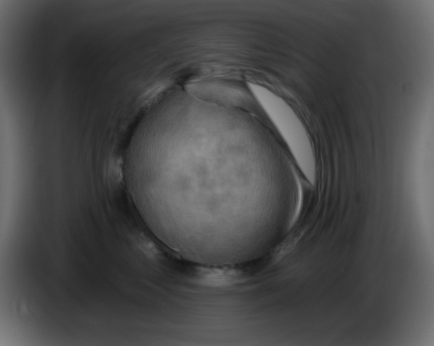 X0000084600621200703231928