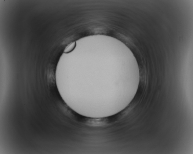 X0000084600622200703231928