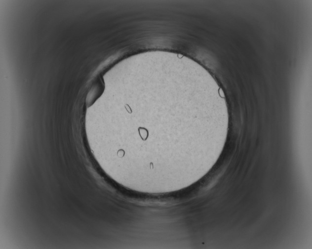 X0000084600625200703231927