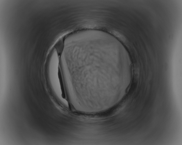 X0000084600626200703231927