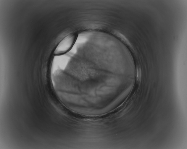 X0000084600627200703231927