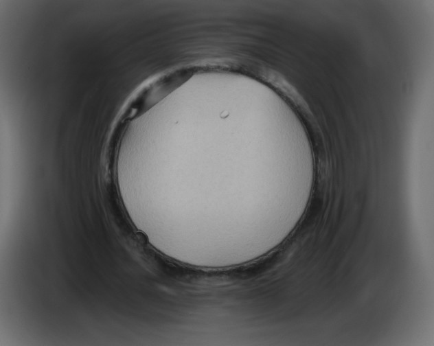 X0000084600628200703231927