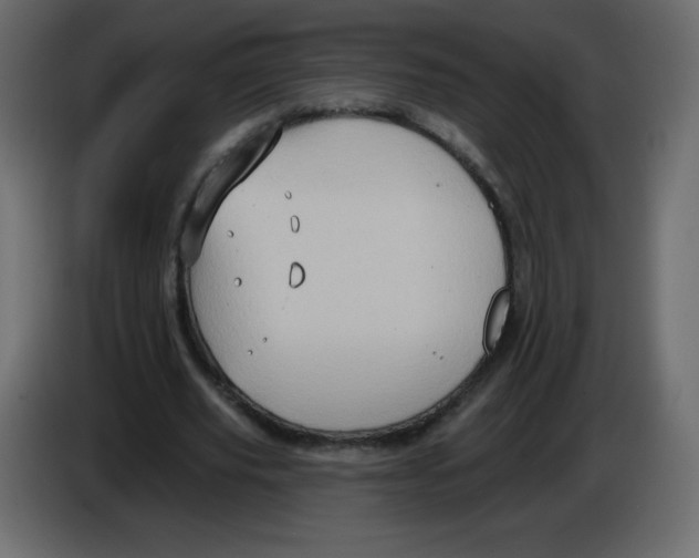 X0000084600629200703231927