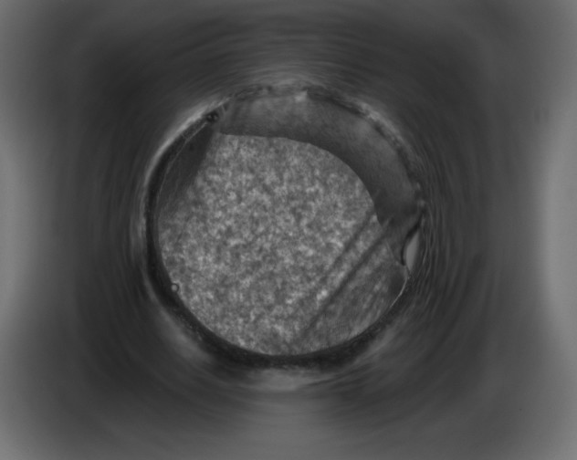 X0000084600630200703231927