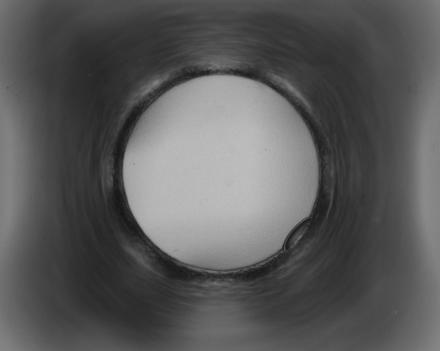 X0000084600631200703231927