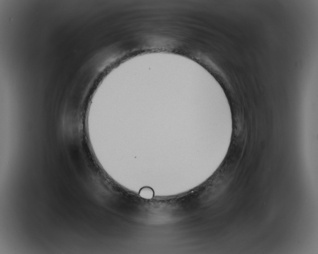 X0000084600632200703231927