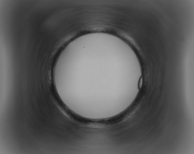 X0000084600633200703231927