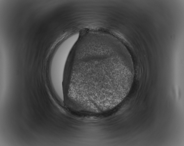 X0000084600634200703231927