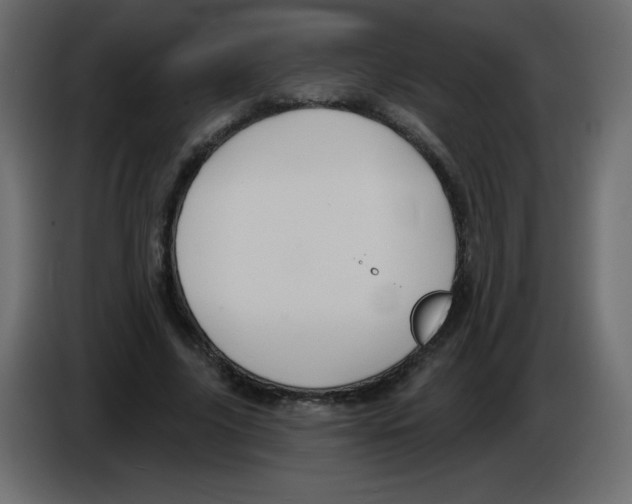 X0000084600635200703231927