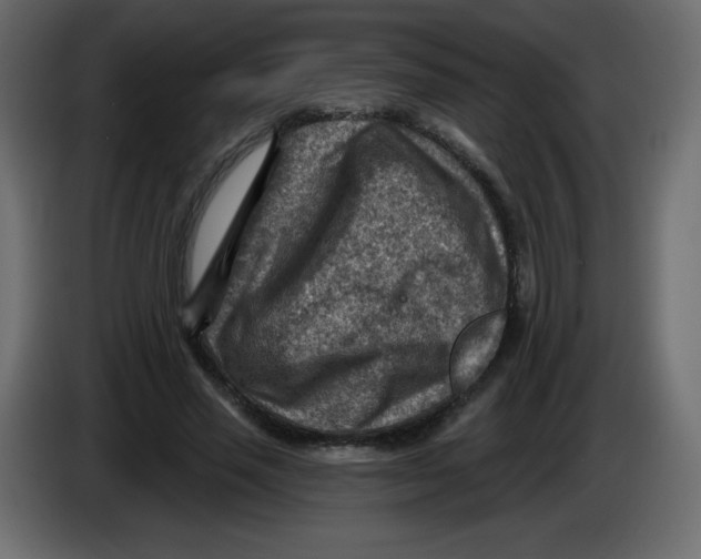 X0000084600637200703231927