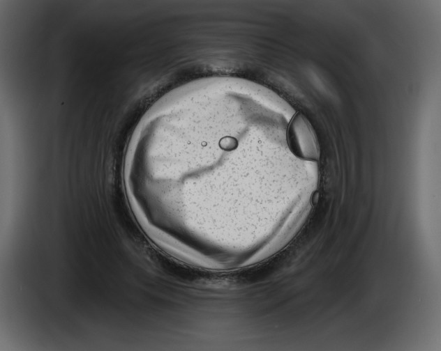 X0000084600639200703231927