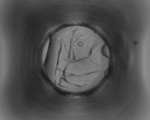 X0000084600640200703231927