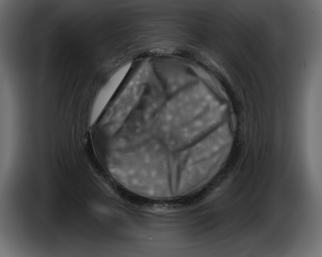 X0000084600641200703231927