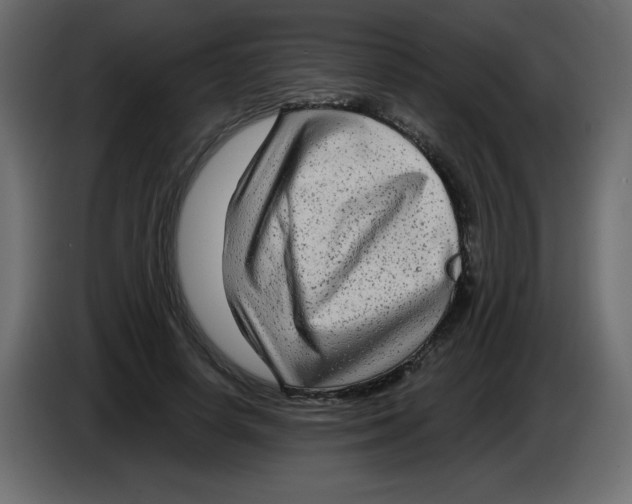 X0000084600642200703231927