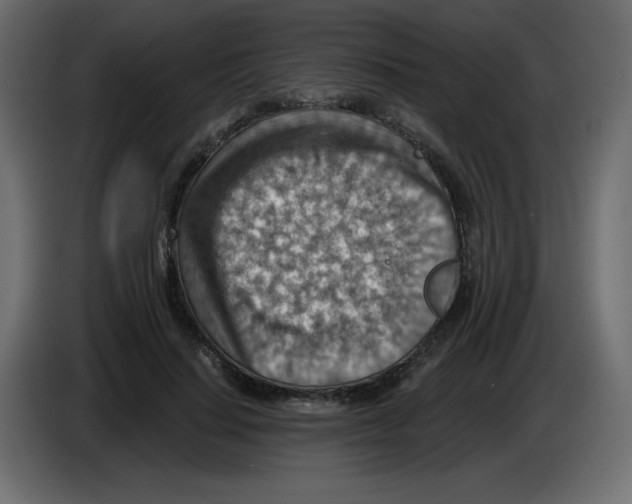 X0000084600644200703231928