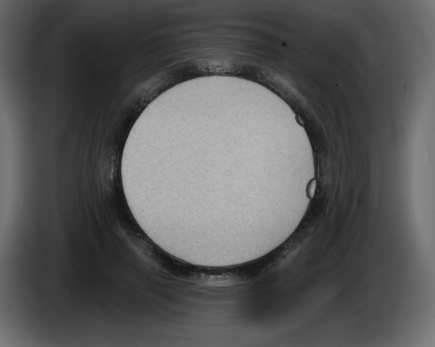 X0000084600645200703231928