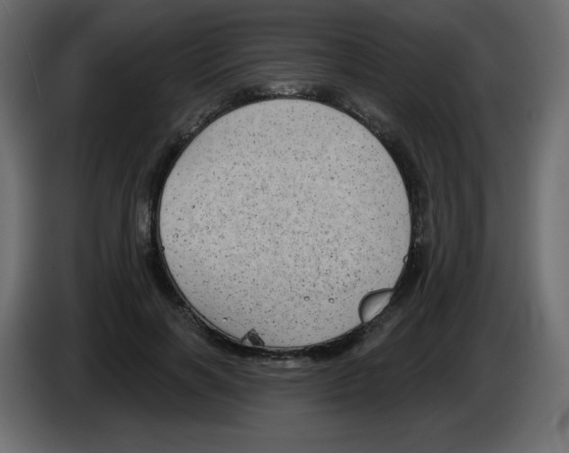 X0000084600646200703231928